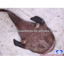 frozen monkfish tail skinless